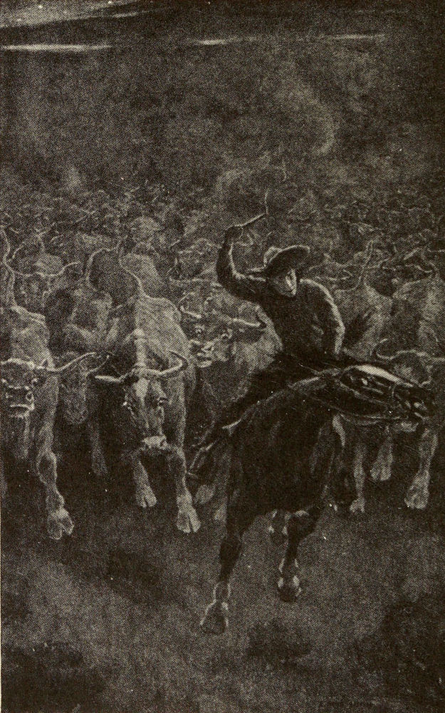 THE STAMPEDE
