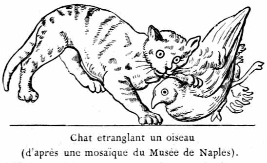 Chat étranglant un oiseau
(d'après une mosaïque du Musée de Naples).