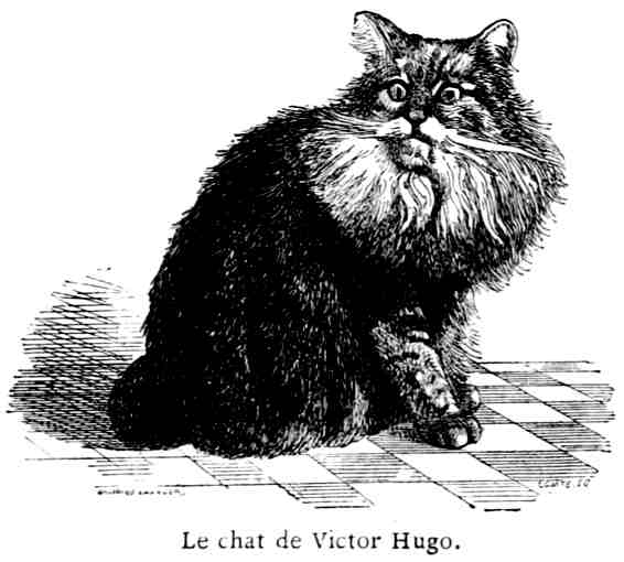 Le chat de Victor Hugo.