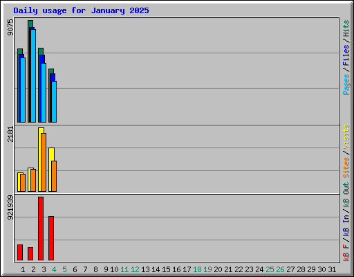 Daily usage for January 2025