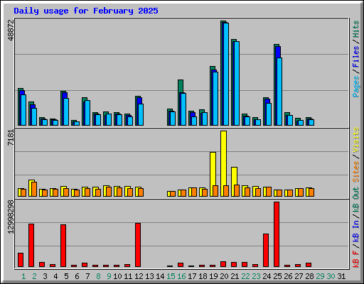 Daily usage for February 2025