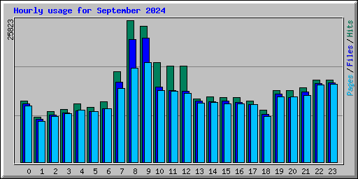 Hourly usage for September 2024