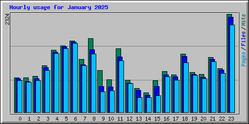 Hourly usage for January 2025