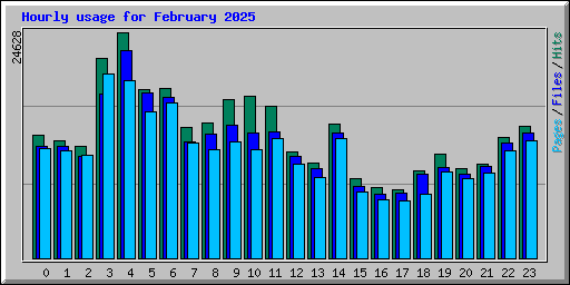 Hourly usage for February 2025