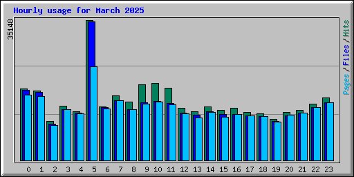 Hourly usage for March 2025