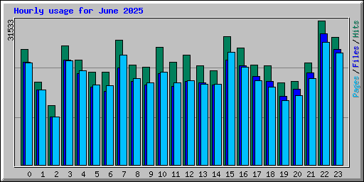 Hourly usage for June 2025