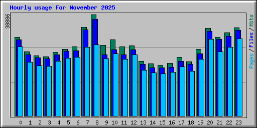 Hourly usage for November 2025