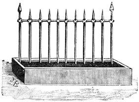 Fig. 162. Rekje voor klimplanten met loodrechte staafjes.