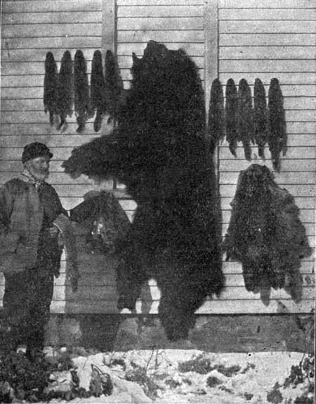 WOODCOCK AND SOME OF HIS CATCH.