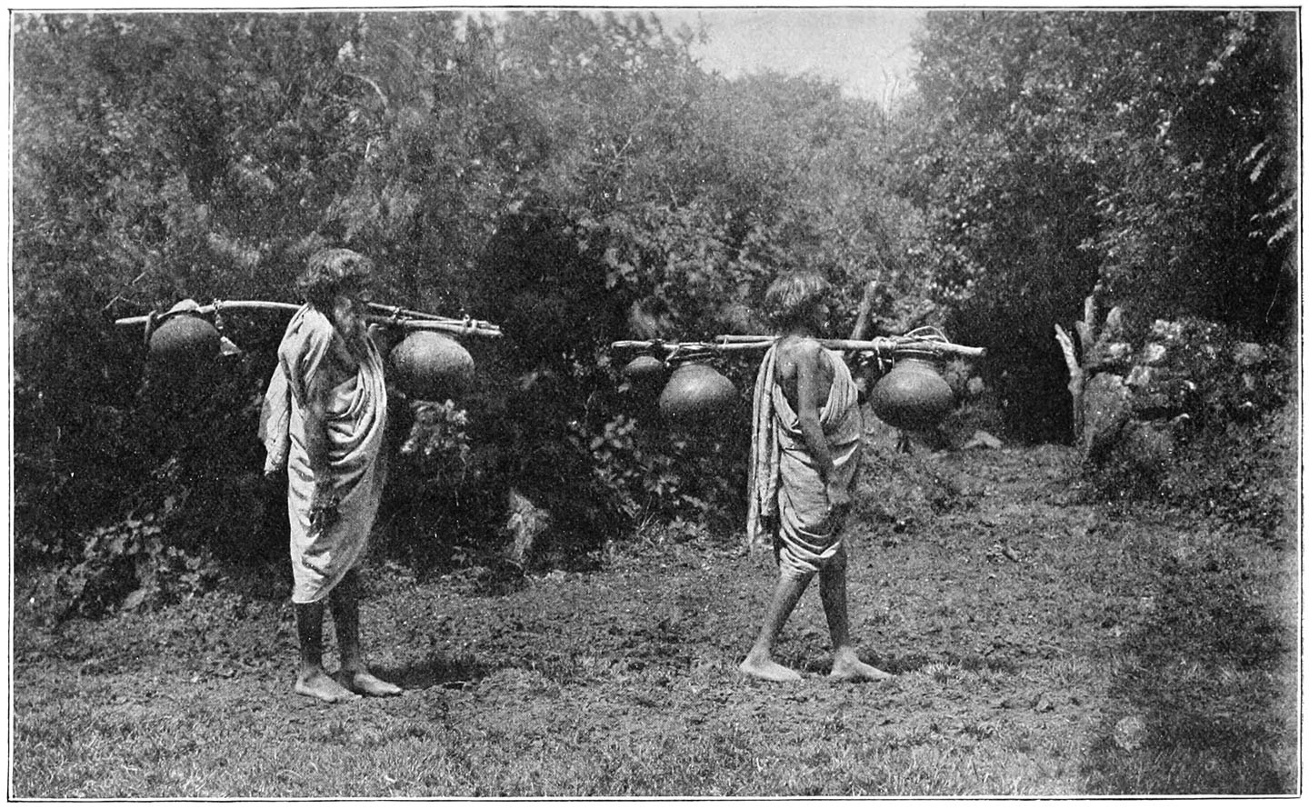 FIG. 29.—TO SHOW THE METHOD OF CARRYING THE CONTENTS OF THE DAIRY. THE BOY KALMAD (64) IS CARRYING THE ‘PATATPUR’; KARSÜLN (15) THE ‘ERTATPUR.’ IN FRONT OF KALMAD IS THE ENTRANCE OF THE PEN AT KARS CALLED ‘ALTHFTU’ (see p. 649).