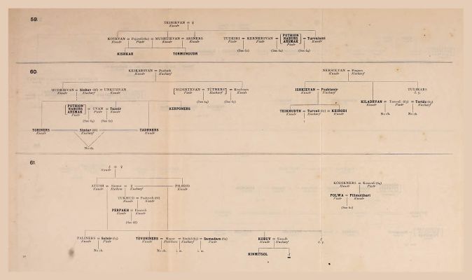 Genealogical Table