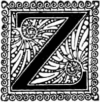 Z